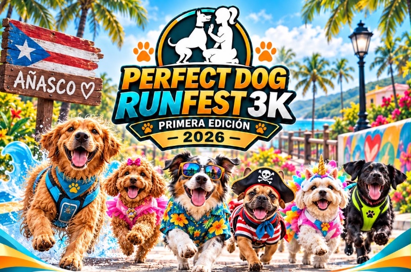 Portada de 1ra Edición - Perfect Dog Run Fest 3k