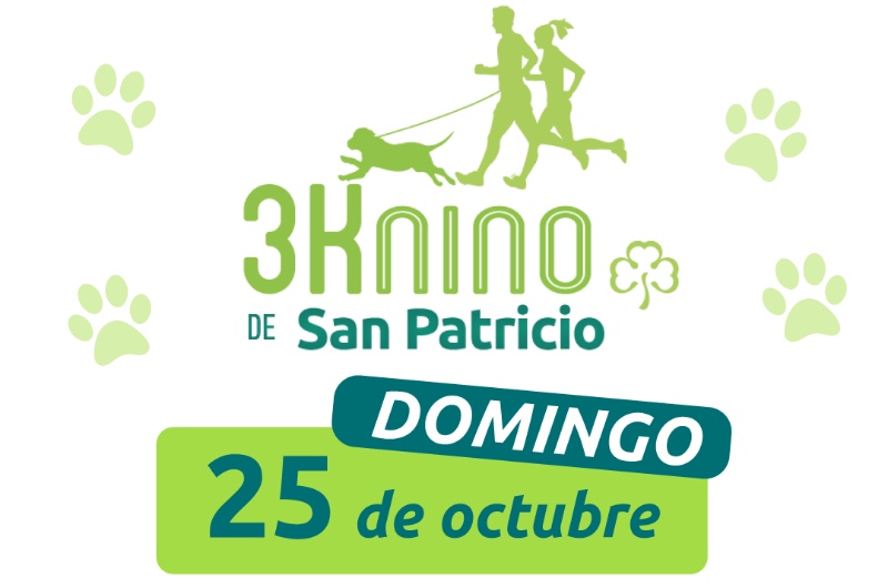 Portada de 3knino San Patricio 2026