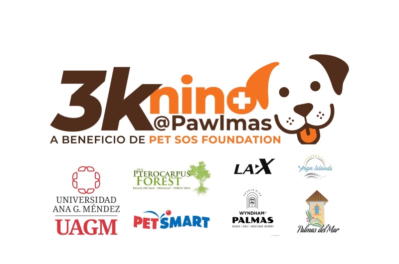 Portada de 3knino @ Pawlmas