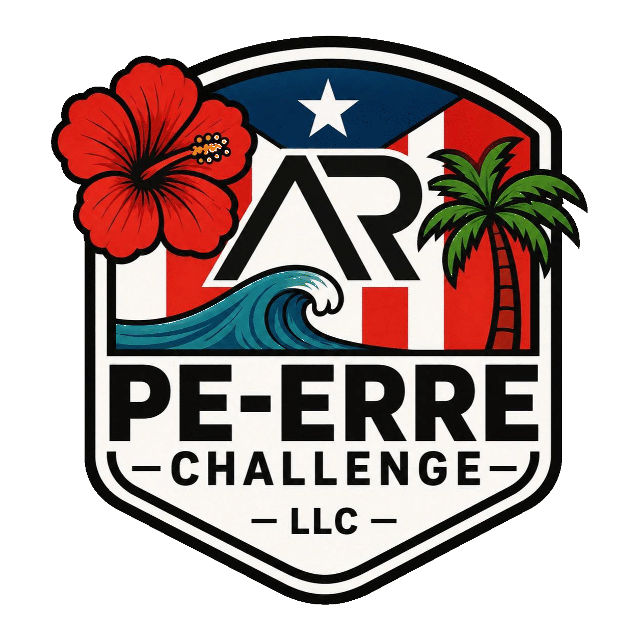 PE-ERRE Challenge